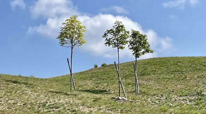 NUOVE REGOLE ISOLAMENTO COVID