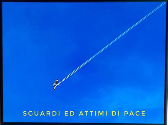 CASA DI SALUTE E DI ... ARTE: mostra fotografica Sguardi ed attimi di Pace